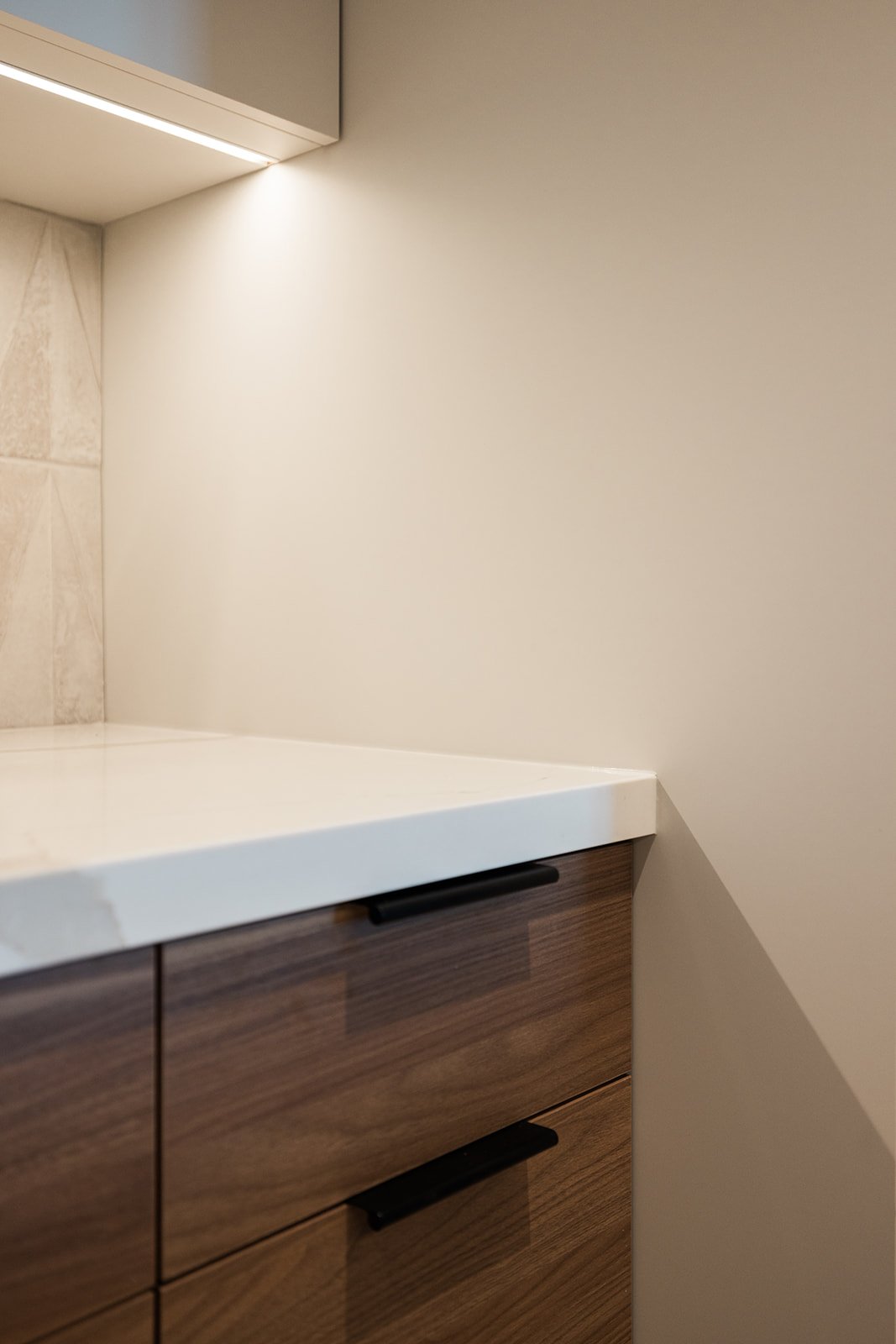 Countertop and pull-out cabinet details in GTA condo kitchen renovation