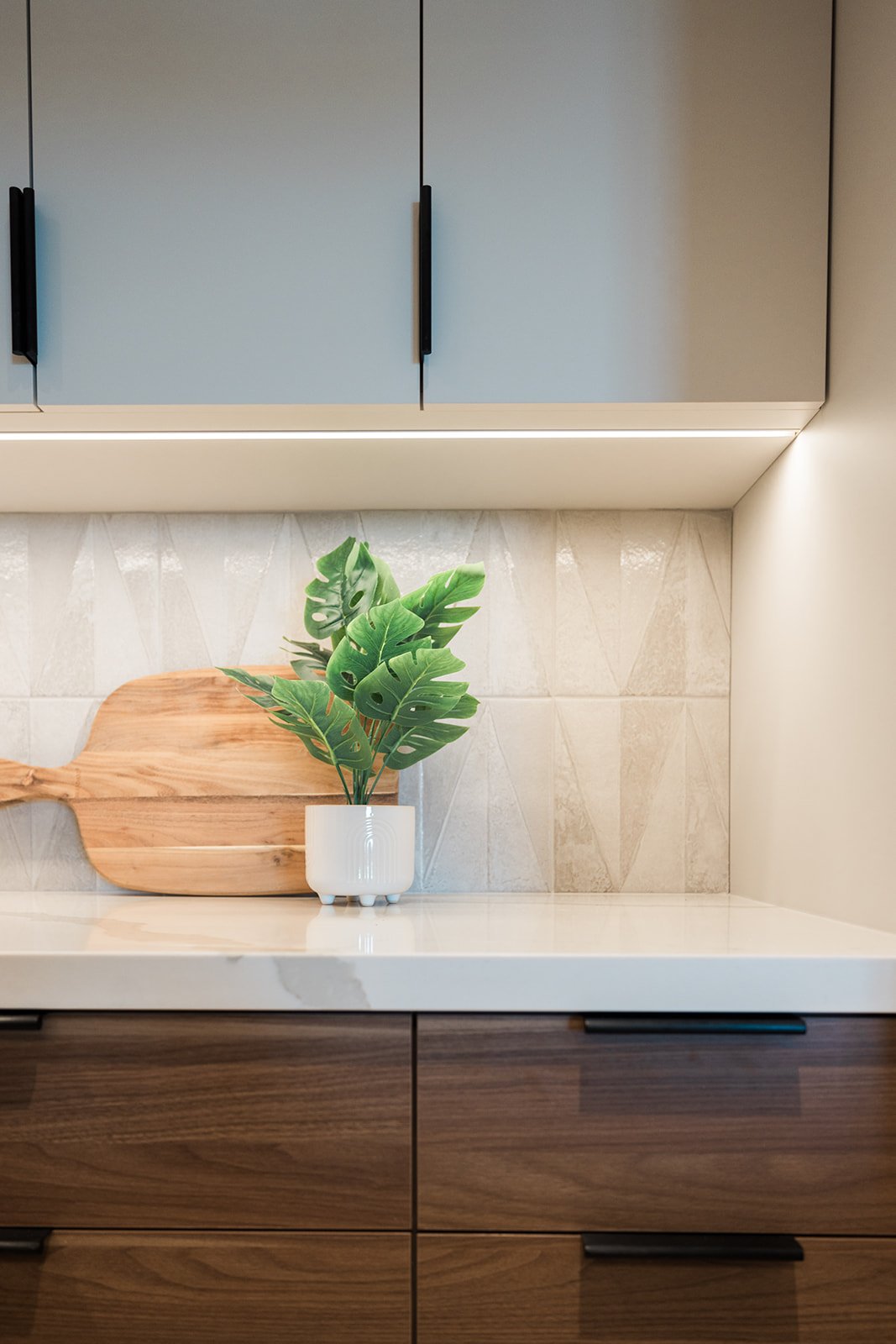 Plant and cutting board on white countertop in Toronto kitchen condo renovation