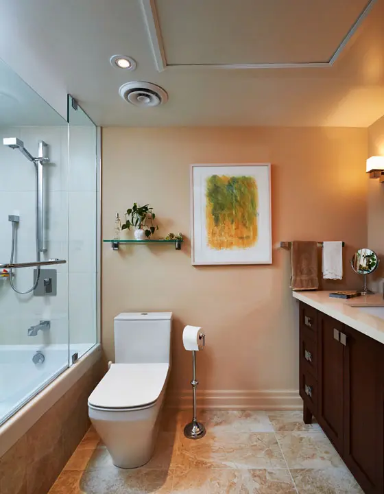 Toronto Midtown Award-Winning Condo Renovation Bathroom 2